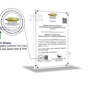 Reprint SSM with CTC